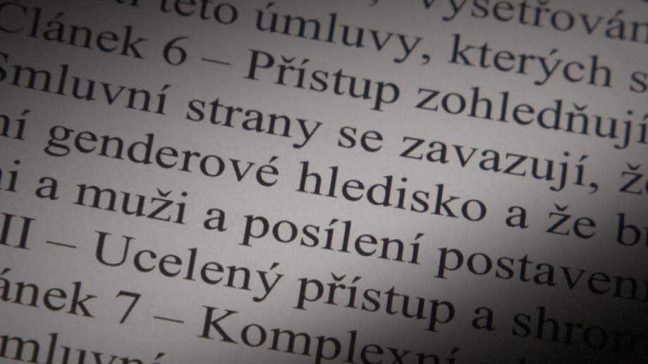 ISTANBULSKÝ DOHOVOR - JEDEN Z POHĽADOV