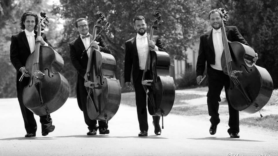 POLTÓN KLUB - BASS BAND
