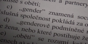ISTANBULSKÝ DOHOVOR