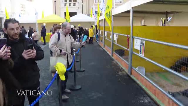 VATICANO (90)