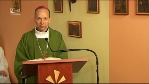 Z prameňa (27.11.2015)