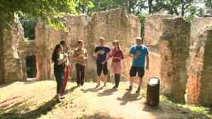 Ruženec (24) Svetla