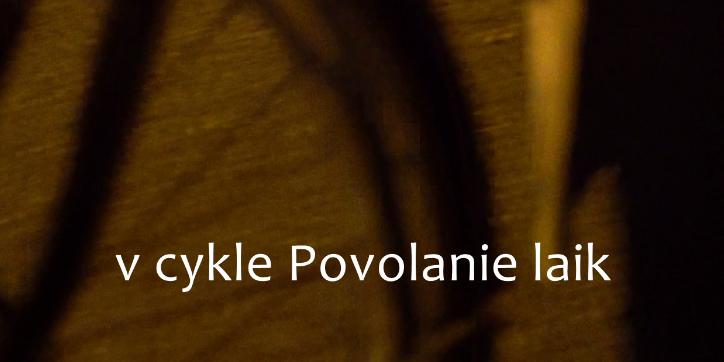 POVOLANIE LAIK