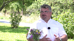 19. NEDEĽA V CEZROČNOM OBDOBÍ
