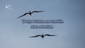 ŽALM 8
