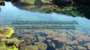 ŽALM 42