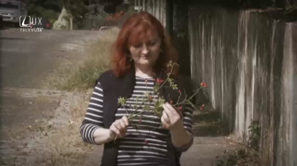 KLUBOVÝ SPOT 2018