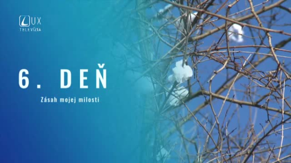 NOVÉNA ODOVZDANOSTI (6)