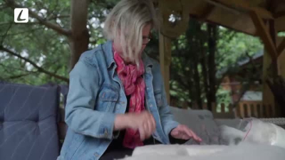 V RÚCHU PRÍRODY (Pavla Lazárková Trizuljaková)