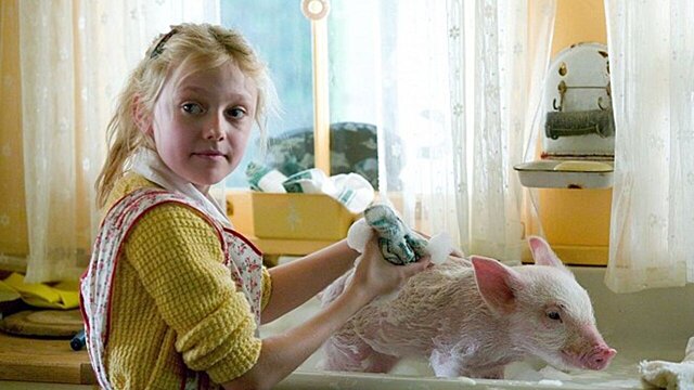 1736028528_sarlotina_pavucinka_ckm_thumb_640x