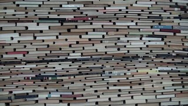 1763930696_stopy_v_snehu_ckm_thumb_640x