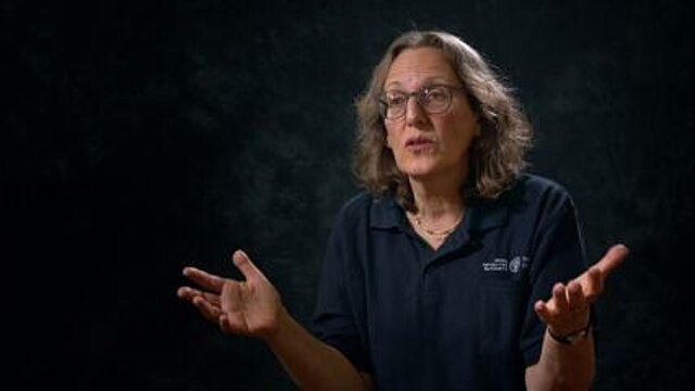 1763933137_kumran_patranie_po_zvitkoch__2__ckm_thumb_640x