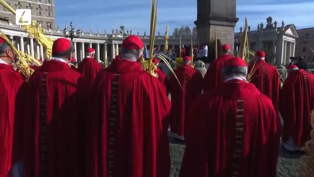 PALMOVÁ NEDEĽA Z VATIKÁNU