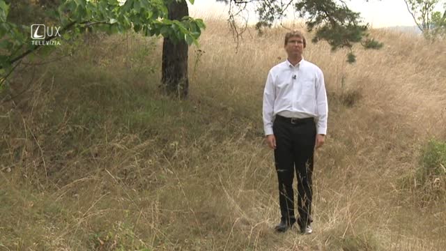 Katechéza (255) PODOBENSTVÁ XI.
