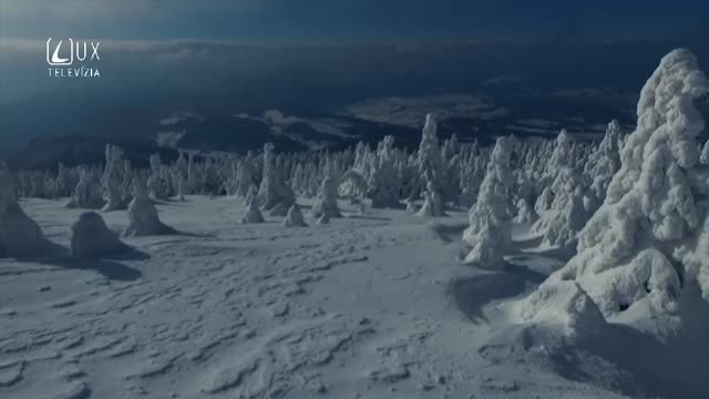 RUŽENEC (38) RADOSTNÝ
