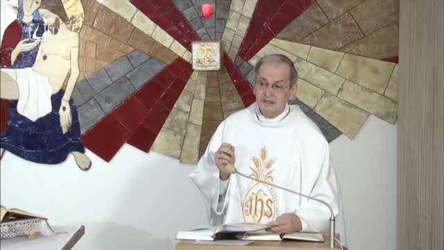 Z PRAMEŇA (11.1.2019)