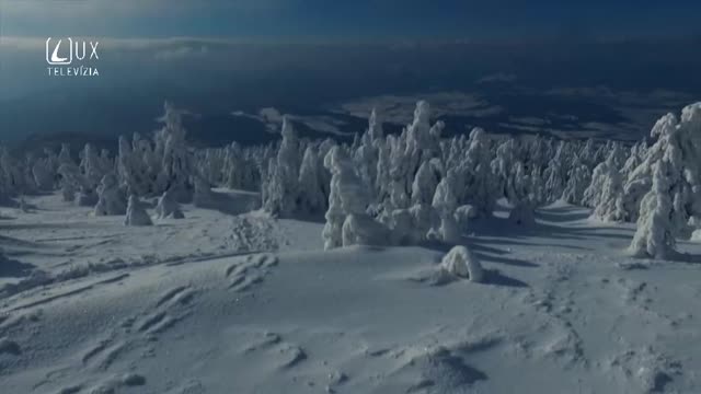 RUŽENEC (41) SVETLA