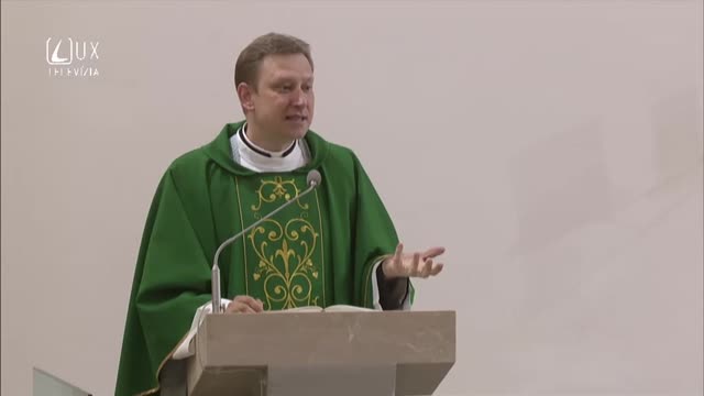Z ROVINY KURIOZÍT DO ROVINY MÚDROSTI