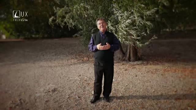 KATECHÉZA (293) VIERA AKO PROSTRIEDOK K PREMENE ČLOVEKA