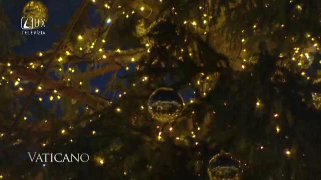 VATICANO (85)
