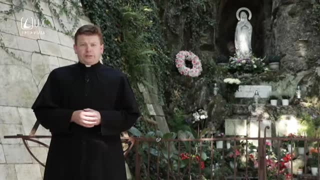 RUŽENEC MÔŽE ZACHRÁNIŤ ŽIVOT