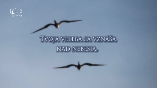 ŽALM 8