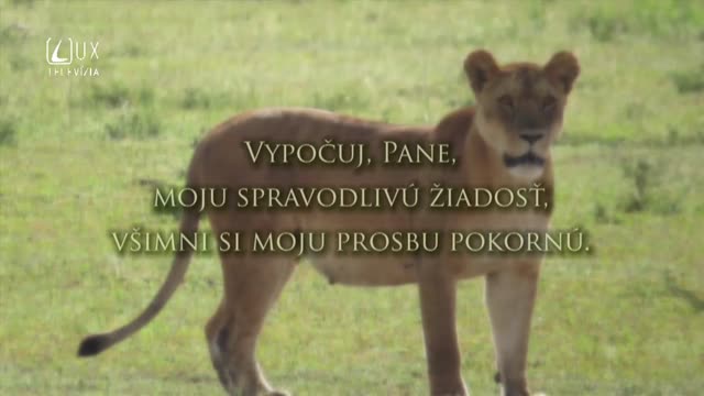 ŽALM 17