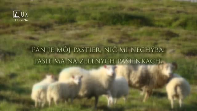 ŽALM 23