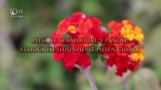 ŽALM 33