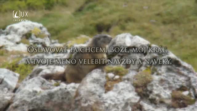 ŽALM 145