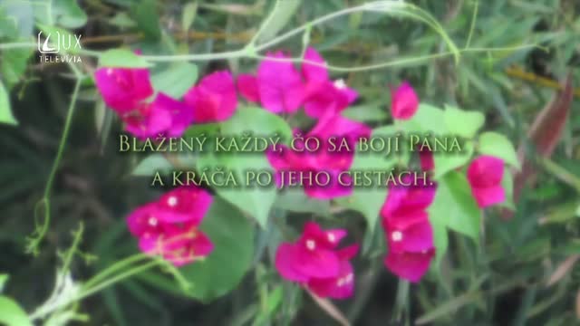 ŽALM 128