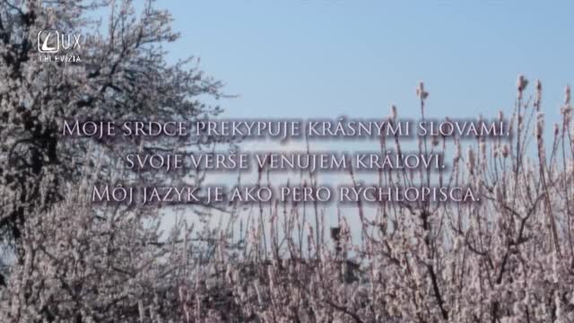 ŽALM 45
