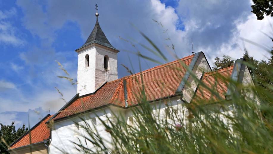 TÝŽDEŇ S... (7.6.2021) LADICE