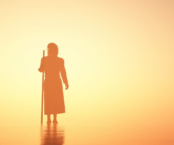 Brať emocionalitu vážne